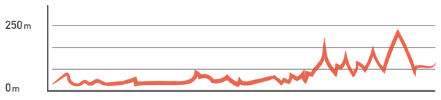 Elevation profile: Chenggong, Ruisui