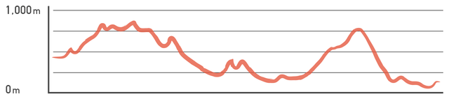 Elevation profile: Puli, Chaiyi