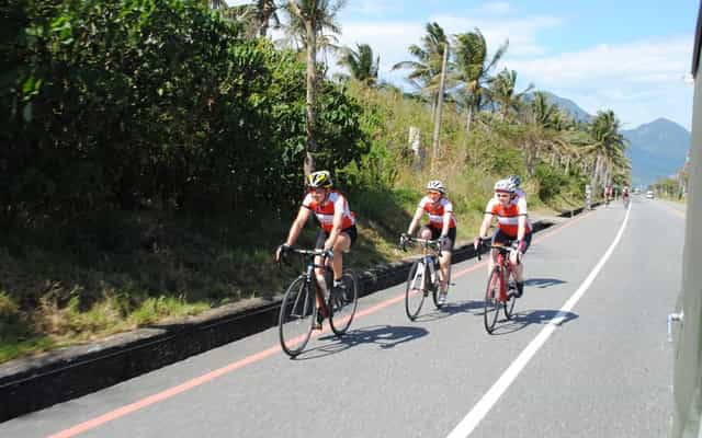 Three cyclists riding along Taiwan's palm-lined east coast road near Chenggong