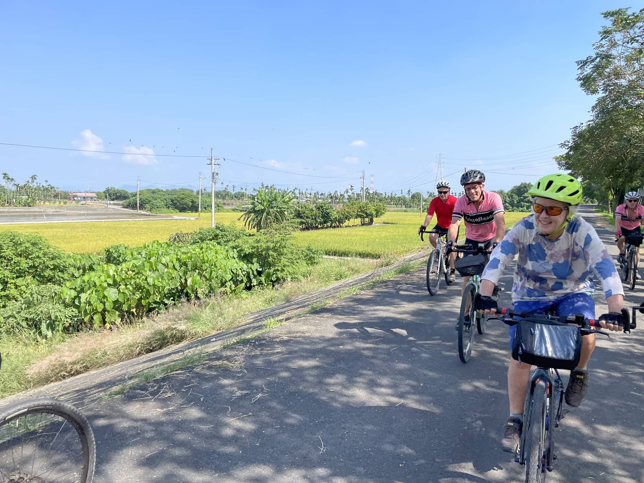 Group of cyclists on flat-bar e-bikes riding together along a rural Taiwan road with rice paddies and palm trees in the background