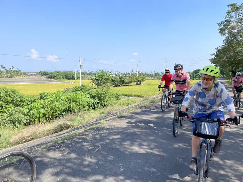 Group of cyclists on flat-bar e-bikes riding together along a rural Taiwan road with rice paddies and palm trees in the background