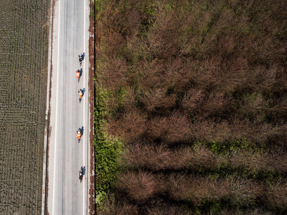 Aerial view of a group of cyclists riding in formation through Taiwan's autumn landscape, bare trees lining the road
