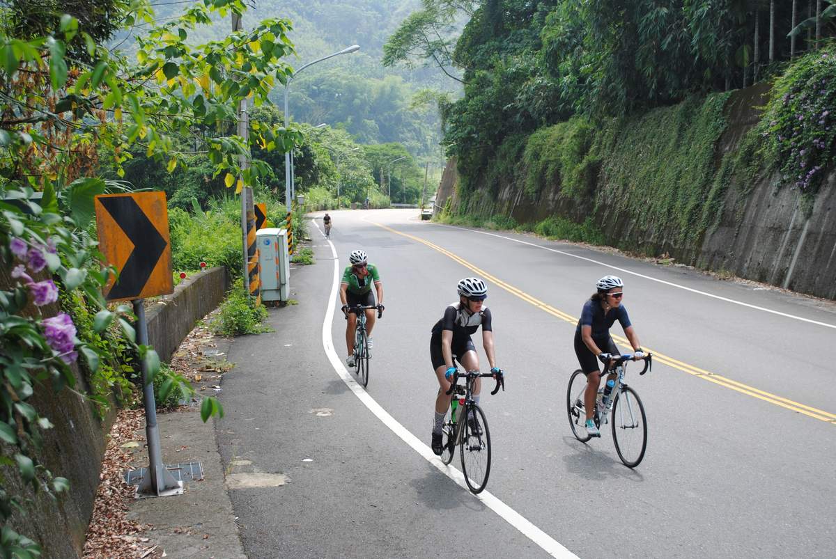 Three cyclists riding a curved mountain road lined with jungle vegetation in inland Taiwan
