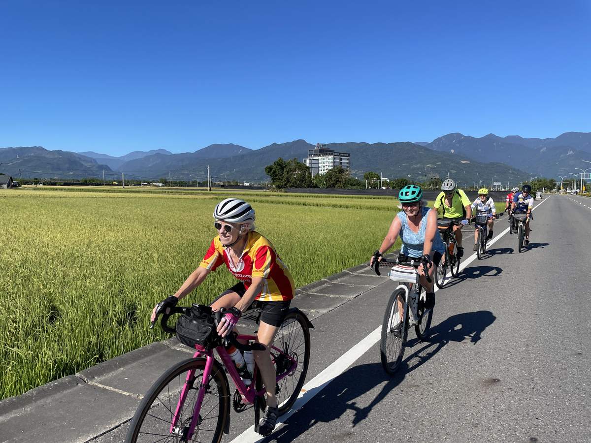 Group of cyclists riding past green rice paddies on a quiet road in the East Rift Valley, with the central mountain range in the background