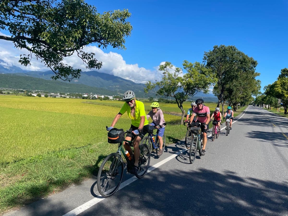 Group of cyclists riding a quiet road through bright green rice paddies on Route 193, mountains of the Central Range visible in the distance
